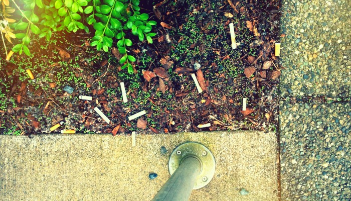 cig butts photo 2